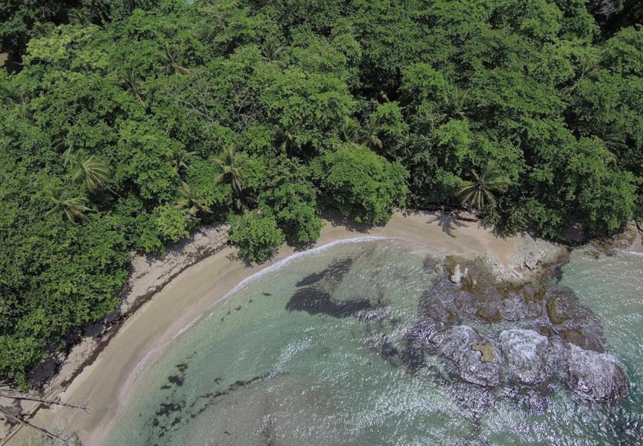 Posada Nena Caribe Puerto Viejo de Talamanca Екстер'єр фото