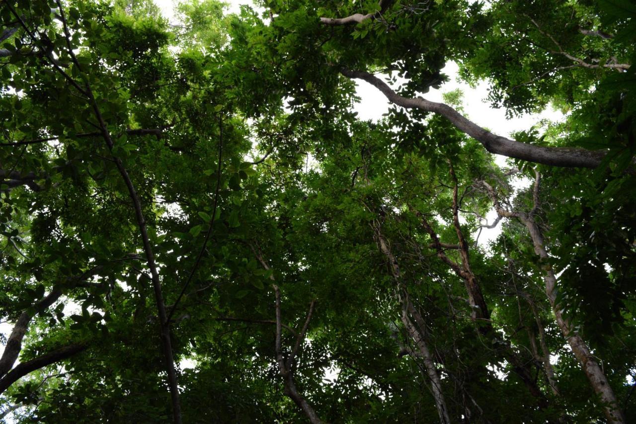 Posada Nena Caribe Puerto Viejo de Talamanca Екстер'єр фото