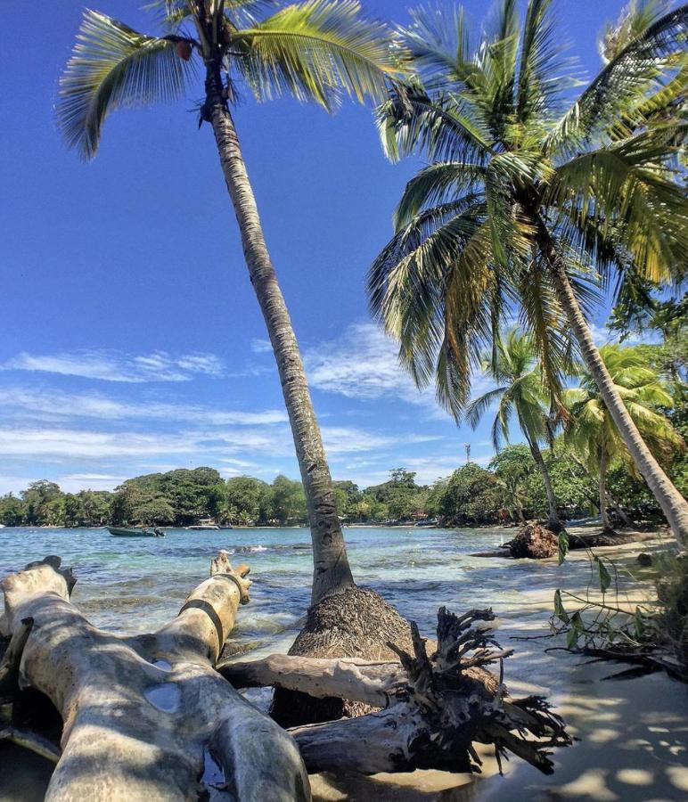 Posada Nena Caribe Puerto Viejo de Talamanca Екстер'єр фото