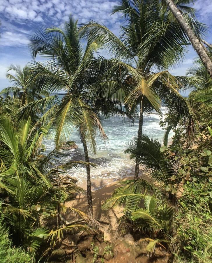 Posada Nena Caribe Puerto Viejo de Talamanca Екстер'єр фото