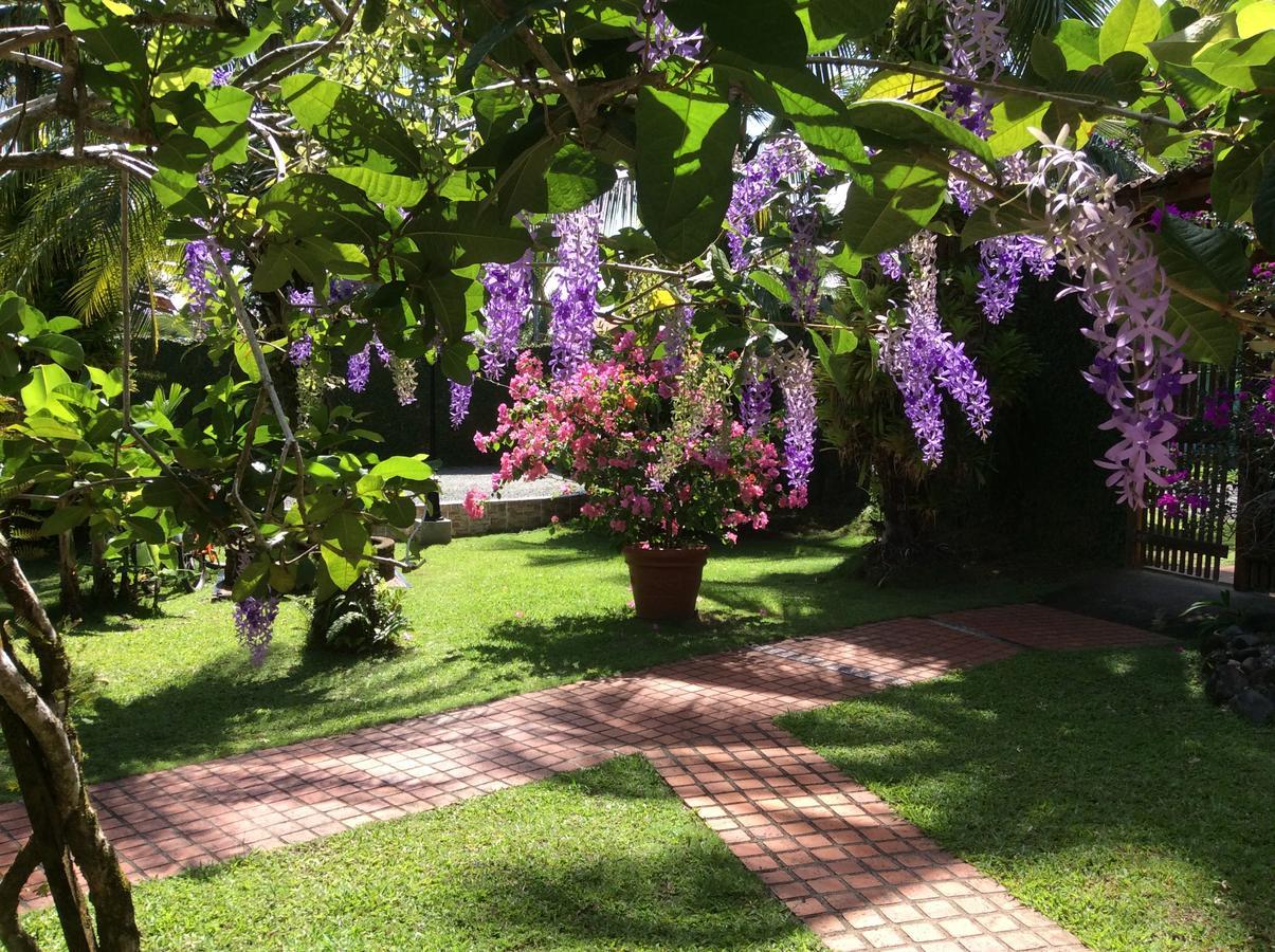 Posada Nena Caribe Puerto Viejo de Talamanca Екстер'єр фото
